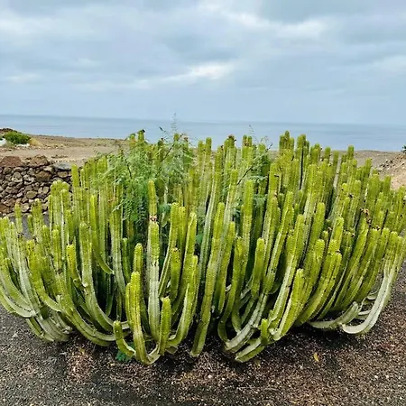 Piedranegra וילה *